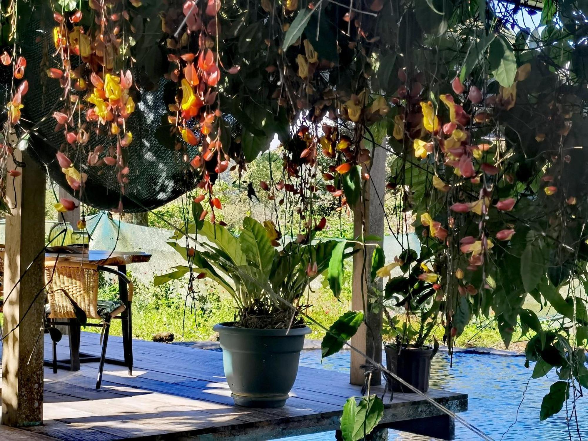 GREENHOUSE Loft Miravalles Aguas Claras  Eksteriør bilde